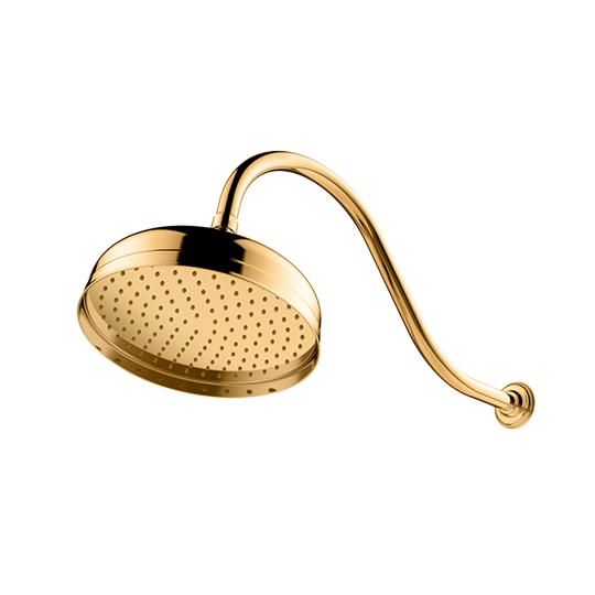 Rain Shower With Shower Arm