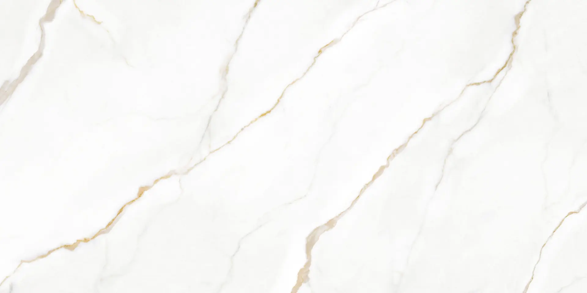 كالكاتا بوليدو 3200X1600 12 ملم مصقول