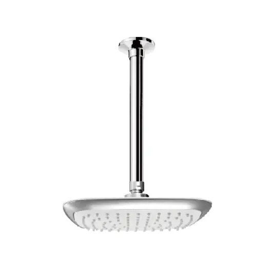 رأس دش مثبت في السقف (بلاستيك)